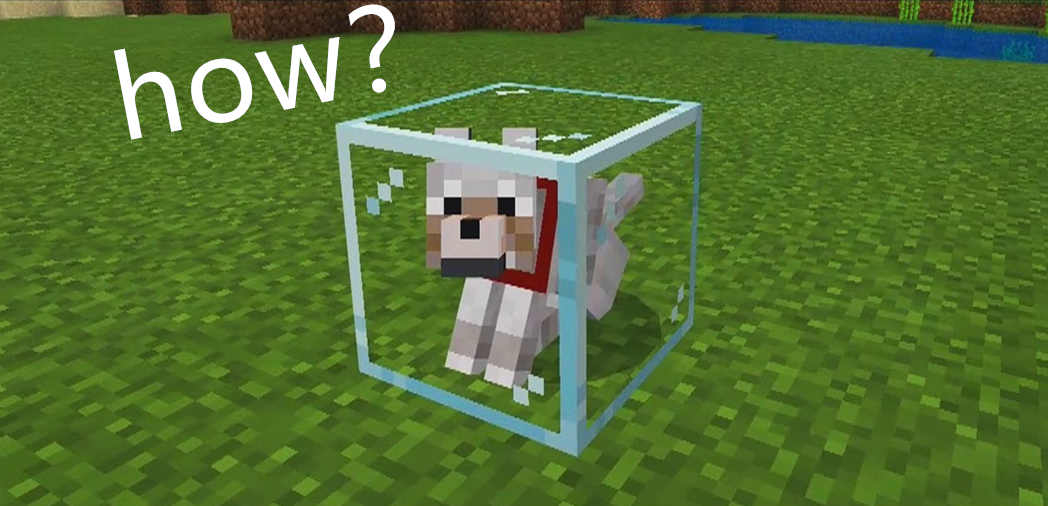 如果我说，这11个来自《我的世界》的画面都是真实的！你会信么？