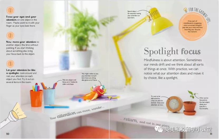 12岁推荐看的知识书,12岁儿童学dk书籍