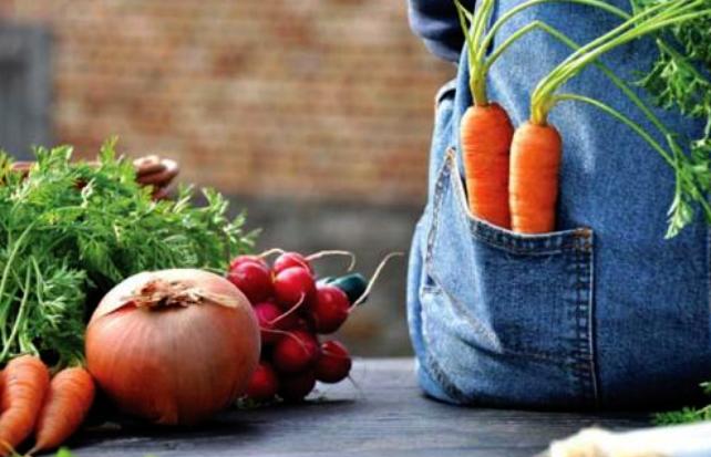 中国最新有机农业,有机农业真的好做吗