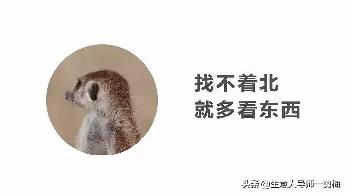 2019最火的十个文案简短,2019年的总结经典简短文案