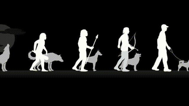 阿努纳奇创造人类7次文明,阿努纳奇人类起源