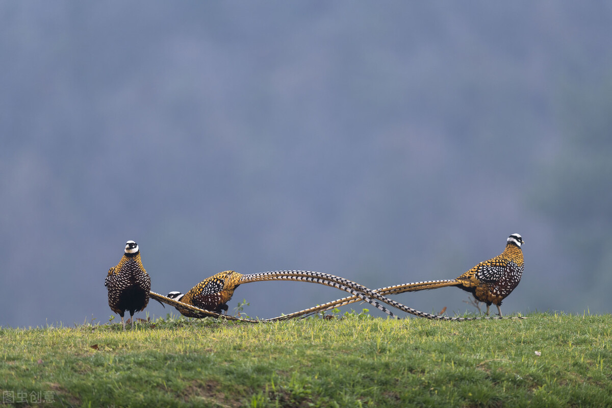 美容院桃花源,美容院不应该只是变美的地方