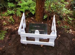 家里宠物去世了怎么缓解心情,厦门宠物狗死了怎么处理