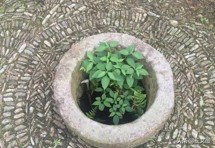 当角们走近东屏|浙江台州三门县雨中漫步游记