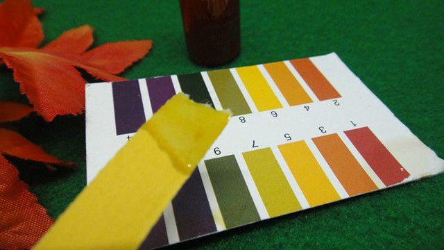 羽西灵芝提亮保湿,羽西灵芝生机焕活调理液橘红色