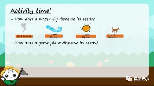 植物传播种子的方法有哪些二年级,我知道植物传播种子的方式有哪些