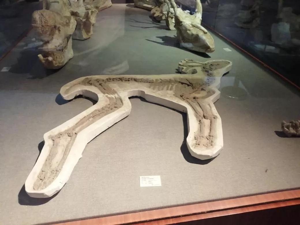 去天津蓟州旅游攻略,跟着书本去旅行蓟州