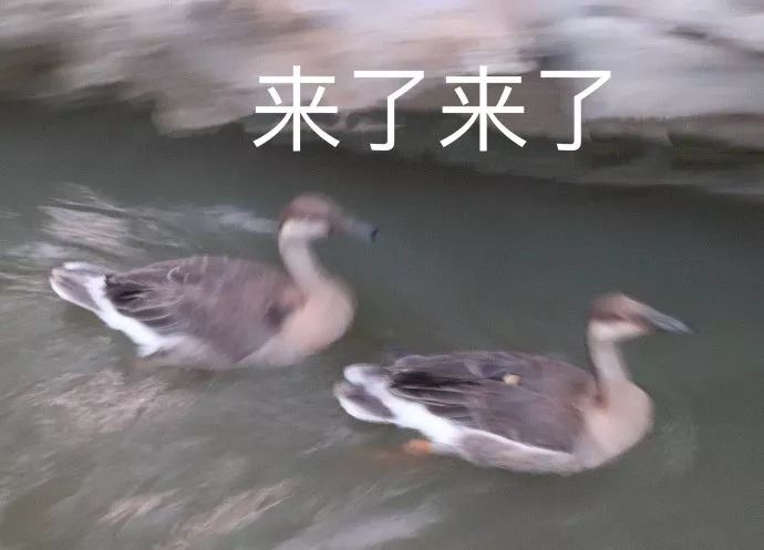 同款衣服实体店比网上贵怎么回事,同品牌的衣服实体店和网店的区别