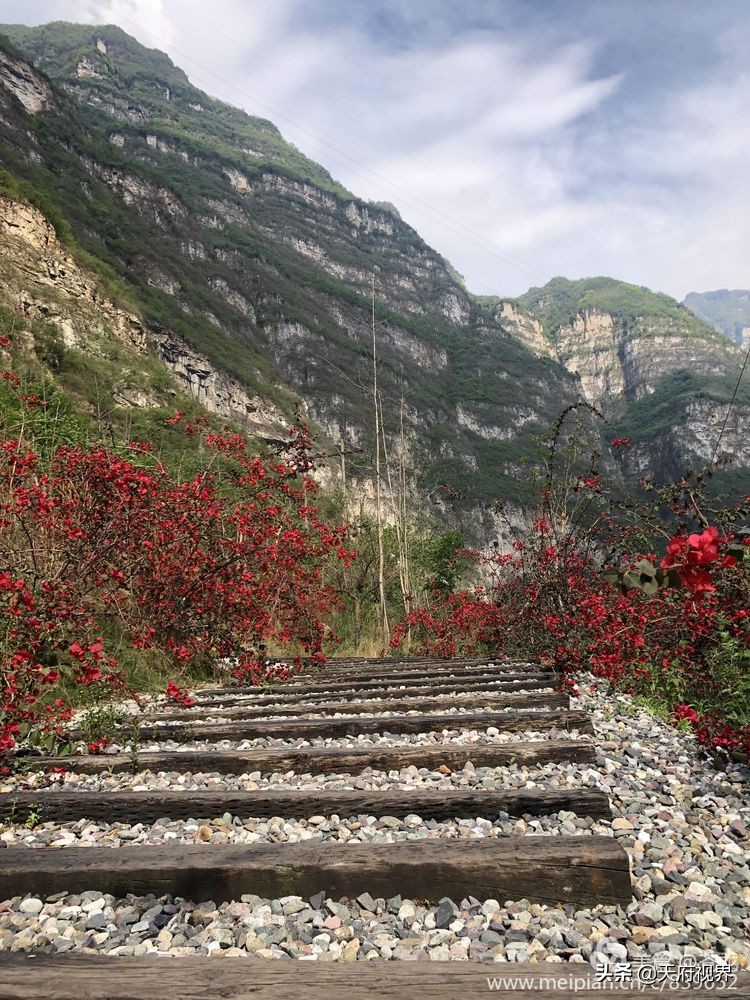 四川黑竹沟之谜,四川黑竹沟探险之旅