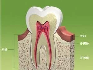 乳牙拔出恒牙不长在原来的位置,孩子的乳牙迟迟不掉怎么回事