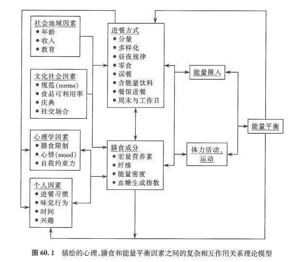 碳水化合物和肥胖有什么关系,我们为什么会胖
