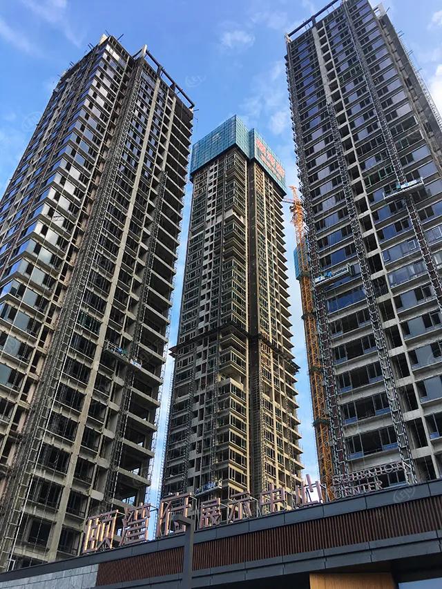 猛虎pk,猛虎队pk猎豹队谁强谁弱