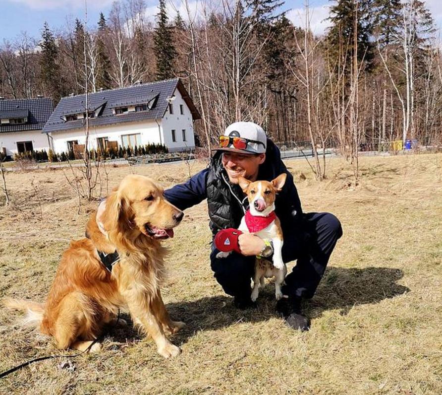 金毛掉进下水沟,金毛掉进下水道狗狗拼命相救