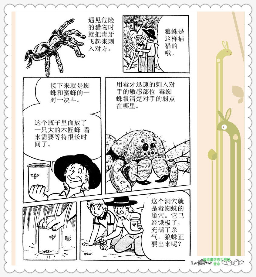 昆虫记法布尔正版全集,昆虫记法布尔阅读答案