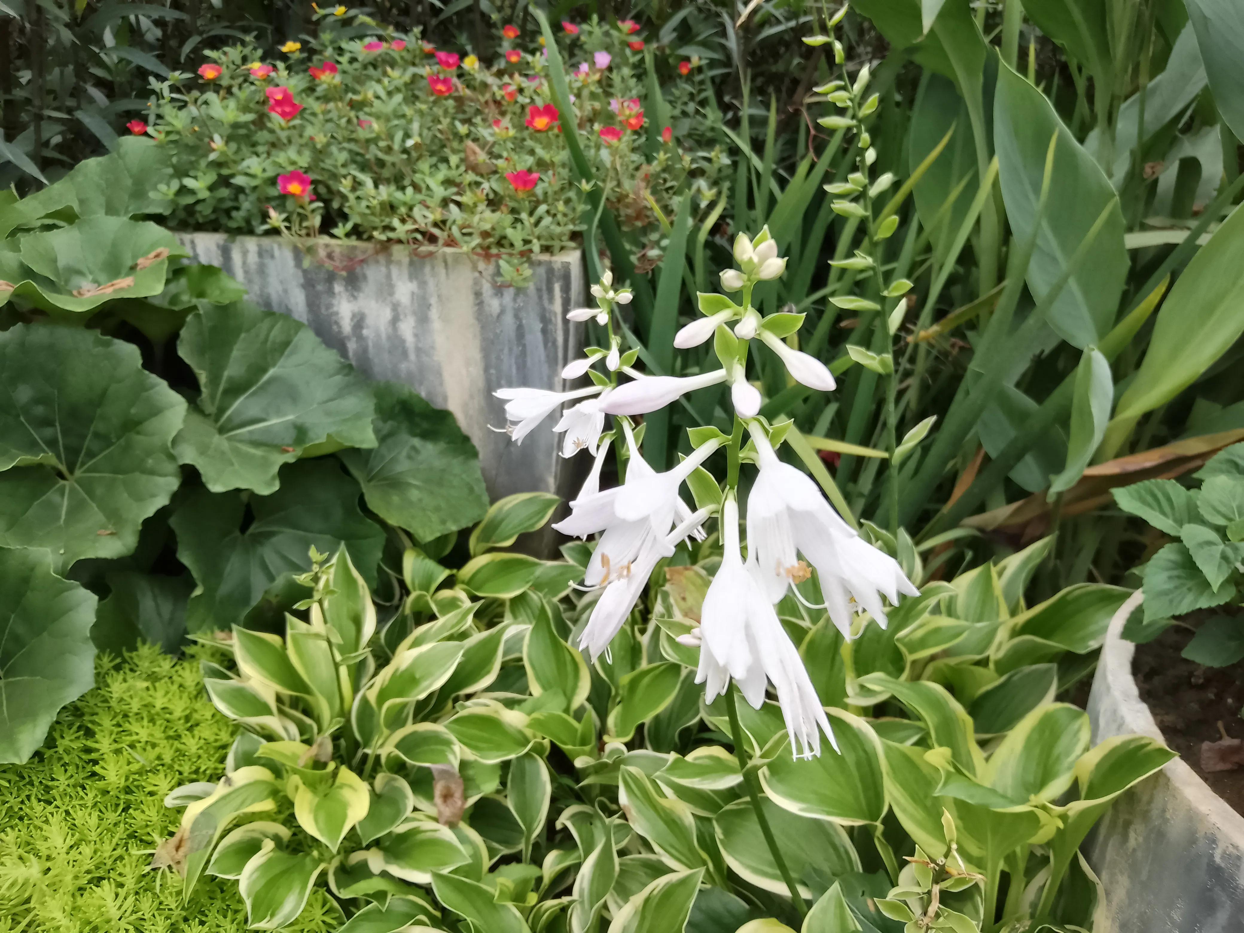 如何用一句话形容生产,怀孕到生产的辛苦与喜悦