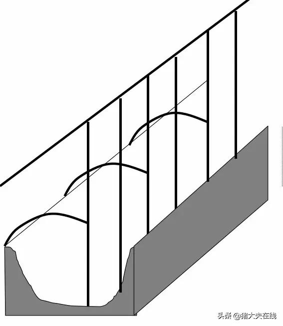 养猪猪舍设计建造,养猪最好的猪舍建造方法