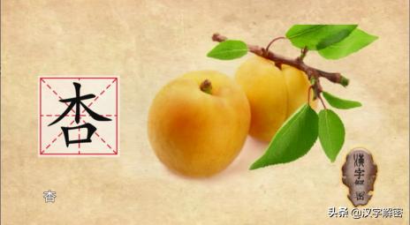 杏林始祖董奉,杏林传奇董奉