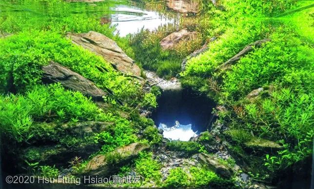 造景如何看起来有层次,十个最好看的造景