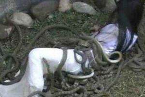 虿盆酷刑的原因,虿盆酷刑谁受过