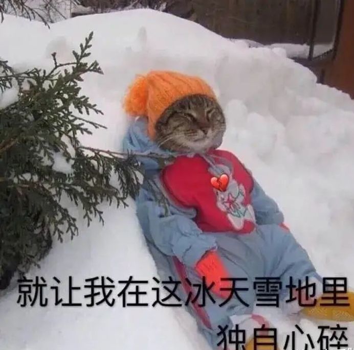 娶了极品嫂子生孩子要拿二十万后面还出轨十八线小演员