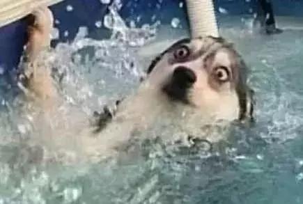 女装大佬防骗指南,女装大佬攻略手册