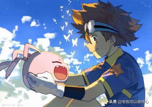 数码宝贝每一个代表什么含义,数码宝贝各个代表着什么