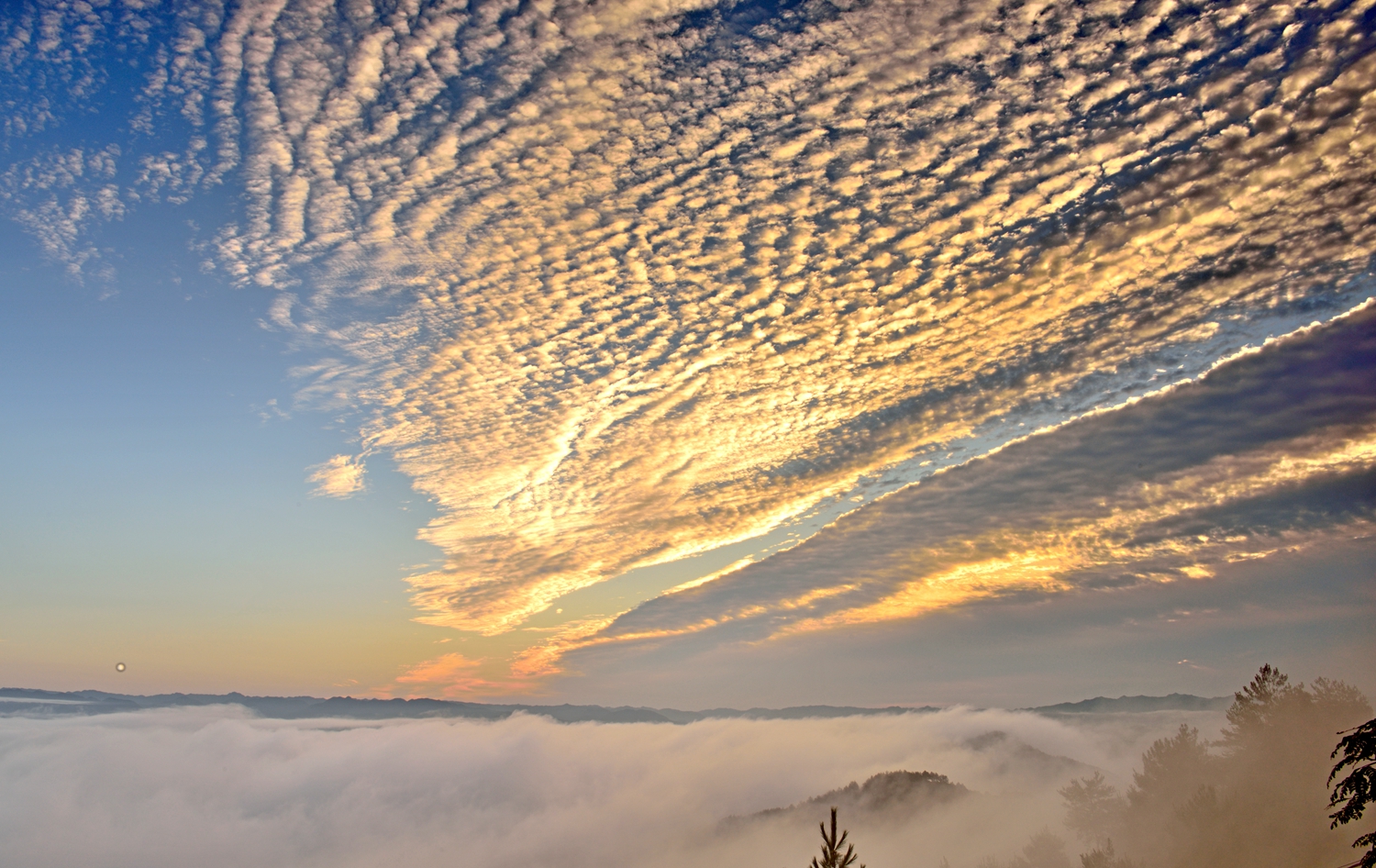 郧西七夕广场夜景牛郎织女,天上七夕人间郧西