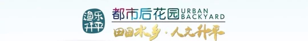 建在沙漠里的足球场,天然草坪足球场在哪里