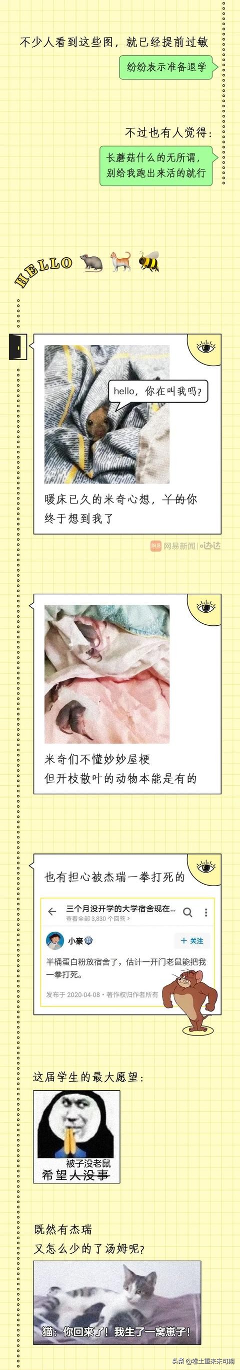 那些上学时最好看的漫画,开学前看的vs开学后看的漫画