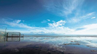 四川发现最大的萤火虫,四川的巨型萤火虫