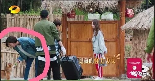 戚薇和王珞丹的前女友上《1818黄金眼》维权了？