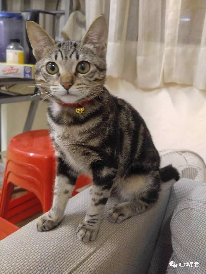 新注册微信测试男朋友被套路,新建个小号怎么试探男朋友