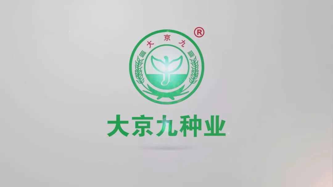 使用数据查询,查询大数据产品价格