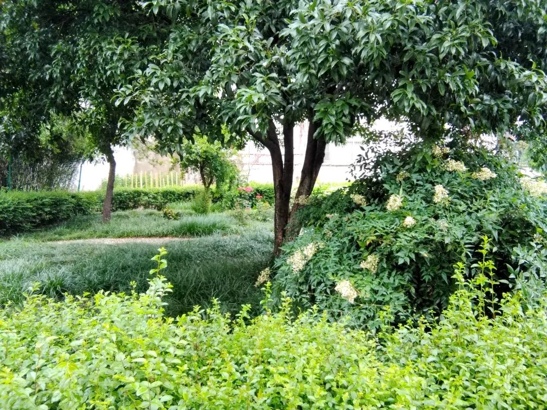 风景好的地方江阴,江阴好风景