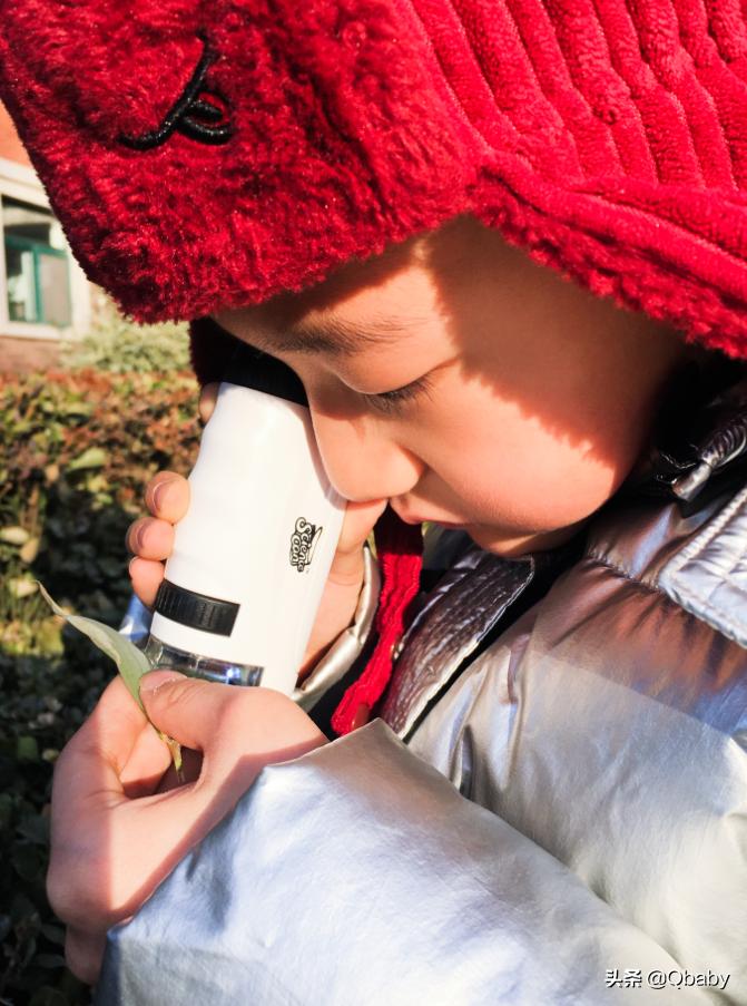 熊孩子的日常磨人游戏攻略,熊孩子自制武器打败盗贼