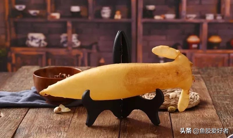 鱼胶花胶常识,鱼胶花胶介绍大全