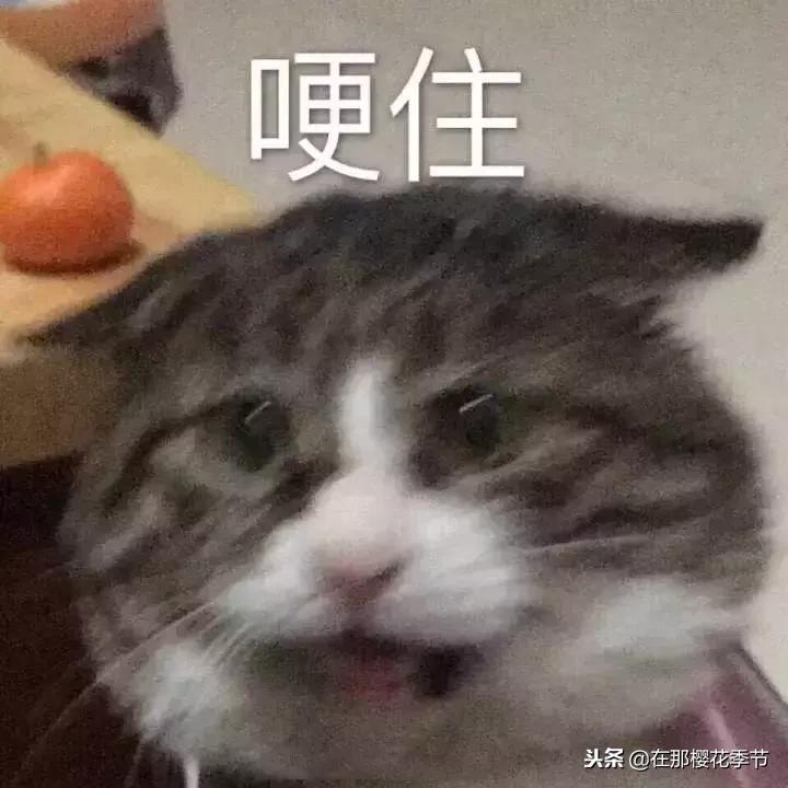 直男拍照最为致命,直男拍照到底好不好看