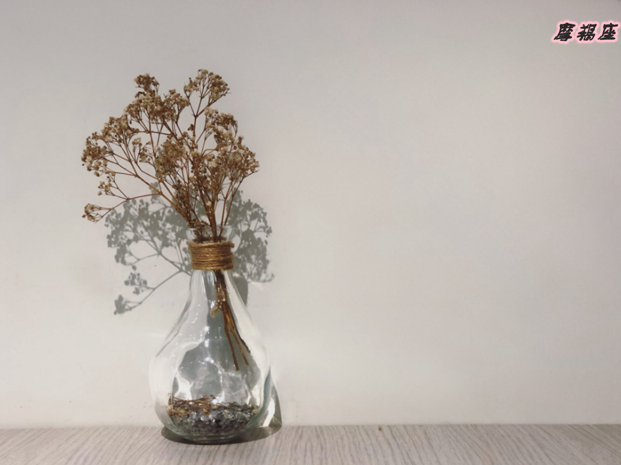 这三个星座最优秀但总是独来独往,高深莫测最具有神秘感的3个星座