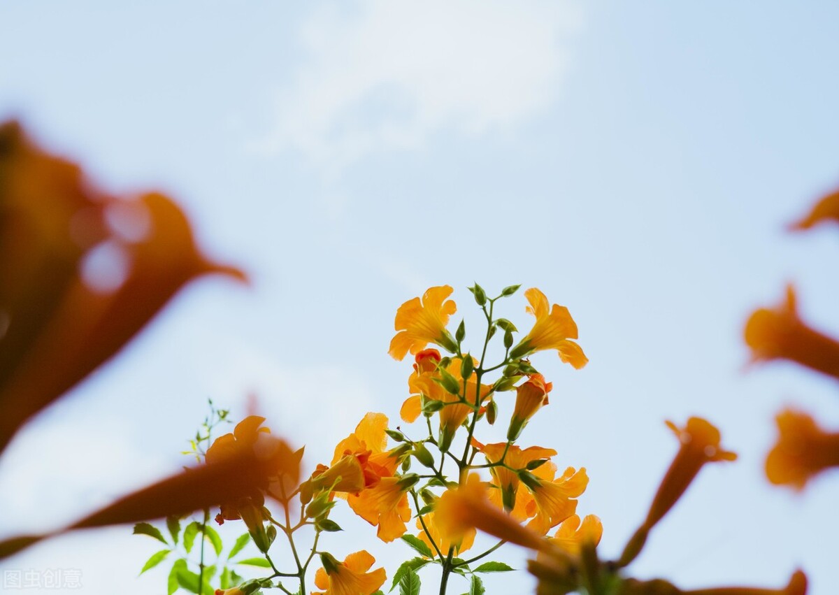 我在直播间做寿衣女模特，入行三年，有位大哥告诉我不要忘记初心