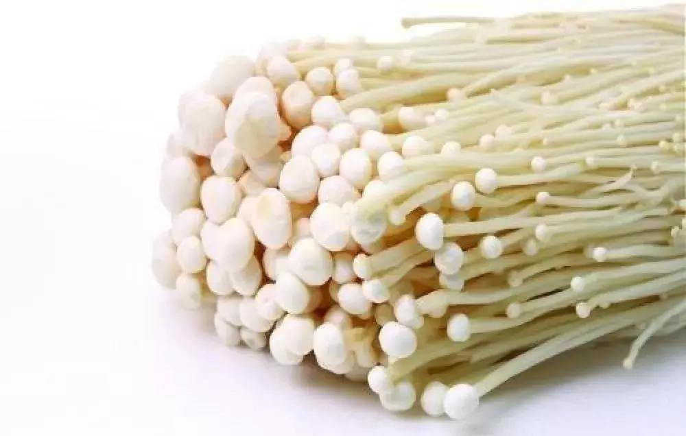 最滋补的菌菇,十种最好吃的菌菇名字