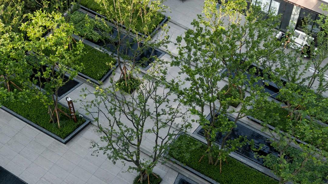 山林下的低密时光|重庆中南·玖著天宸/赛肯思景观