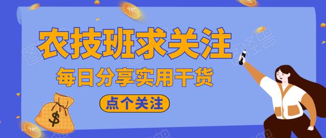 杨树苗害虫防治,杨树苗害虫防治用什么药