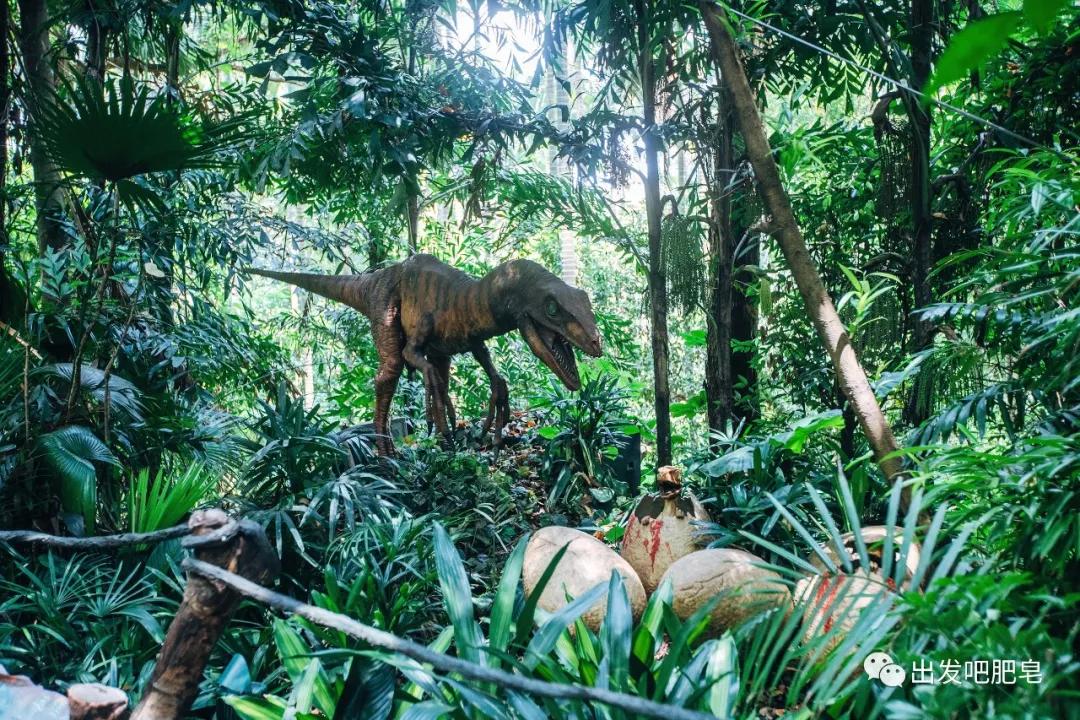 长隆飞鸟乐园怎么去长隆欢乐世界,汉溪长隆地铁站去长隆飞鸟乐园
