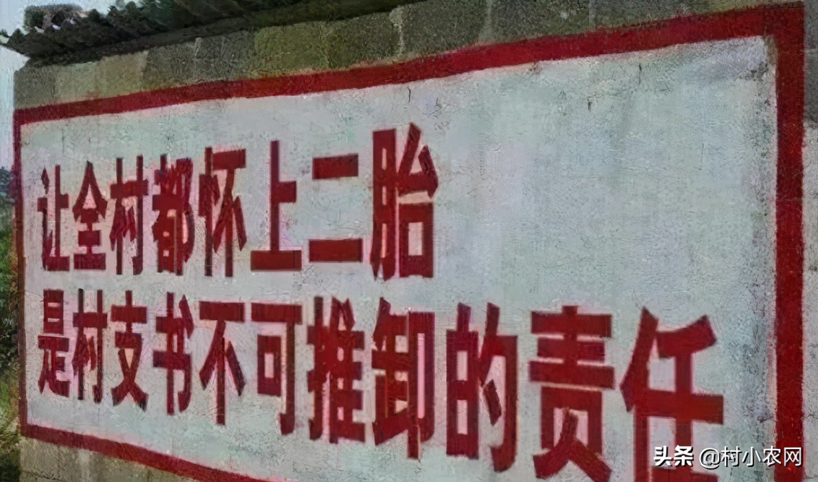 适合农村创业的最新致富项目,多个适合在家里创业致富的好项目