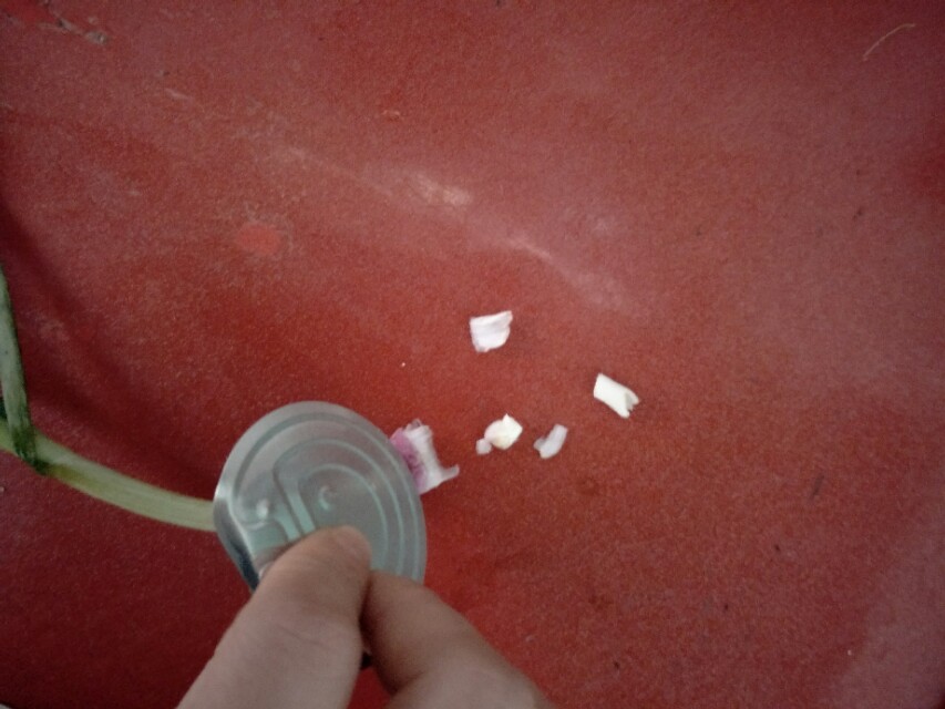 八宝粥铁环怎么用,八宝粥的铁环不见怎么办