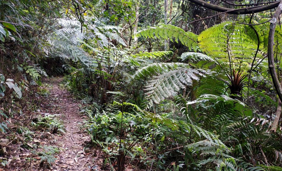 福州南屿古道旅游,福州南屿温泉水疗