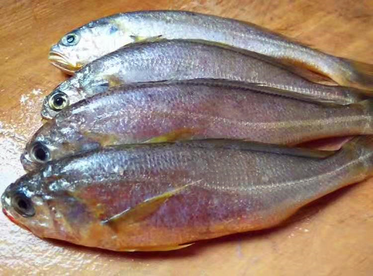 蒸黄花鱼蒸几分钟,黄花鱼蒸法视频