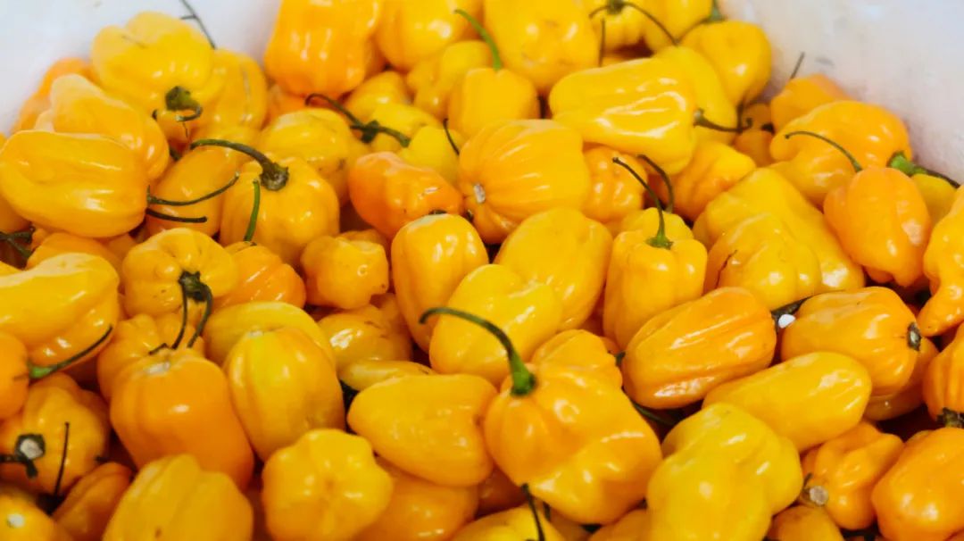 西安凌晨才营业的批发市场,西安哪里批发市场最便宜