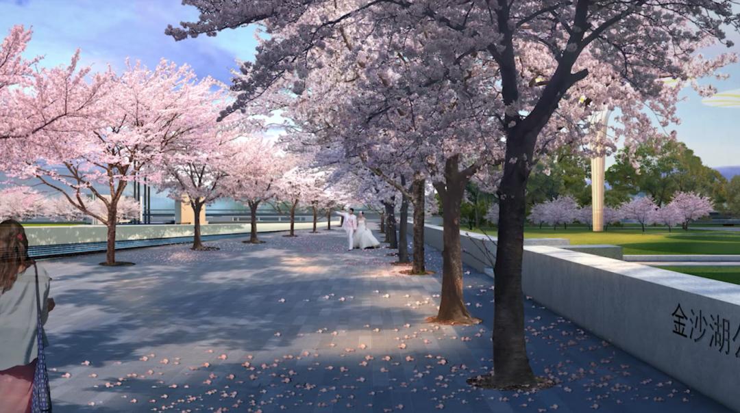 钱塘区金沙湖最新规划,钱塘金沙湖新区