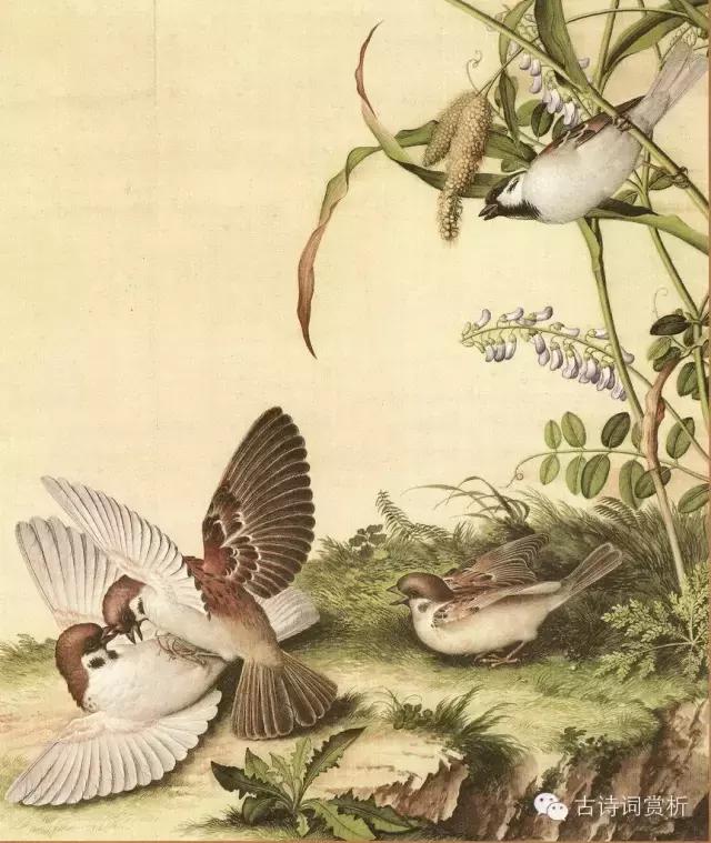 中国一些文学常识,一些文学常识还记得吗